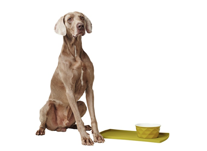 HUNTER Keramik-Napf Eiby gelb Hundenapf