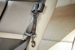 Wolters Dogsto Hunde Sicherheitsgurt