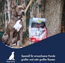 Vorschaubild Dr Clauder´s Best  Adult Large Breed Hundetrockenfutter