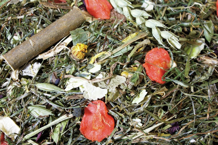 JR FARM Grainless Herbs Zwergkaninchen Kleintierfutter