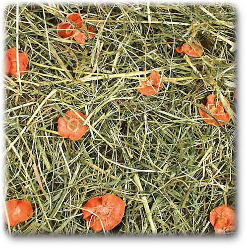 JR FARM Nager Karottenwiese Raufutter für Kleintiere