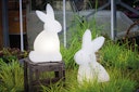 Vorschaubild 8 seasons design LED-Dekoleuchte Shining Rabbit 50 cm (WW)