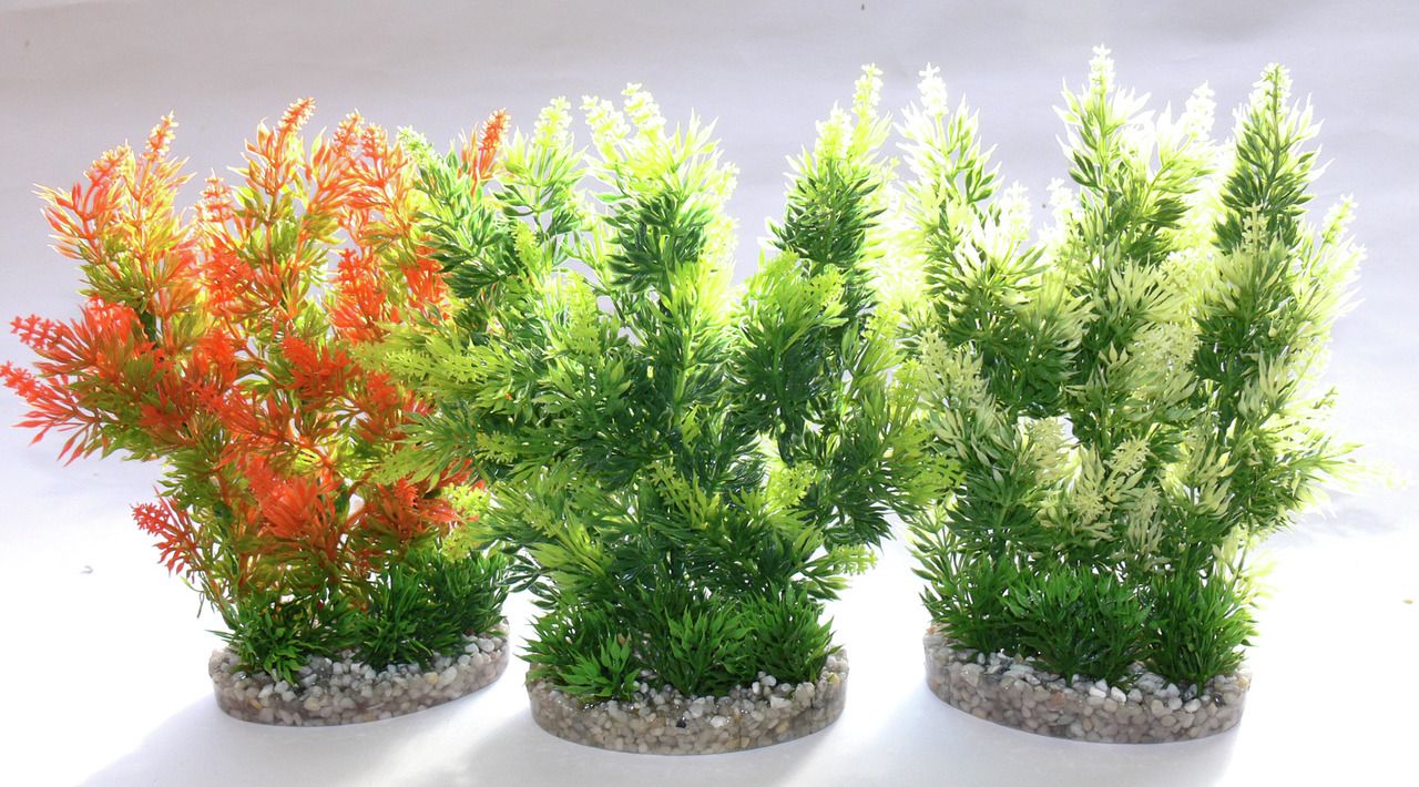 Sydeco Hedge 25 Zentimeter Aquariendekoration