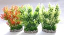 Vorschaubild Sydeco Hedge 25 Zentimeter Aquariendekoration