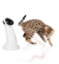 Vorschaubild all for paws (afp) Interactives-Laser Beam Katzenspielzeug