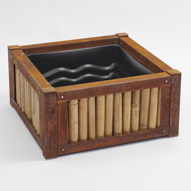 bananenpflanze für zuhause Bananenpflanze XL | 70 cm | Online kaufen main image 0
