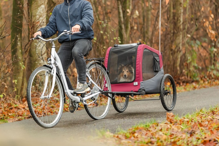 TRIXIE Fahrrad-Anhänger 2.0 schwarz/rot Größe S (53 x 60 (117) x 60 cm)