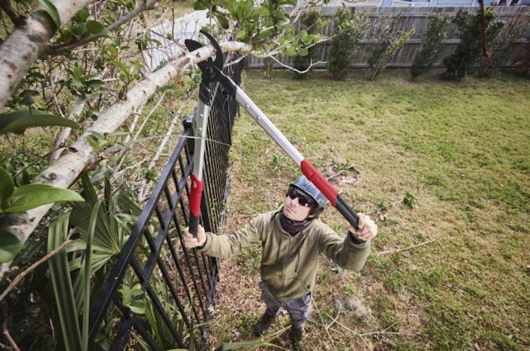 Milwaukee Bypass Astschere 50 mm 4932498625