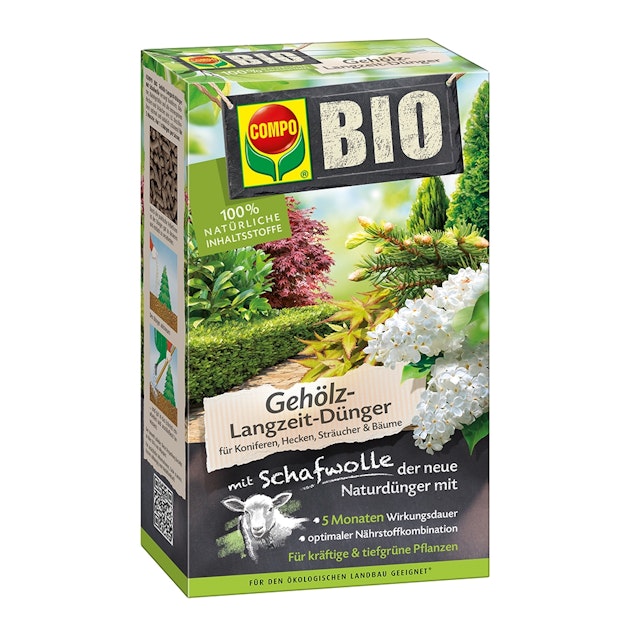 aloe vera aus samen ziehen Essbare Aloe-Vera-Pflanzensamen für einfaches Pflanzen Frische Aloe zu  Hause anbauen Biologische Gartensamen – Pure Asia Seeds main image 0