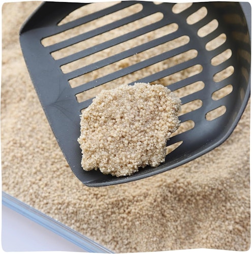 KittyBay Meow Tai Maniokmehl braun