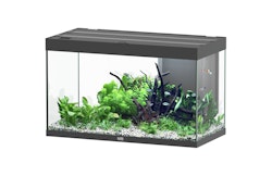 Aquatlantis Sublime 245 Piano Schwarz Aquarium-Set