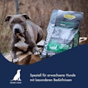 Vorschaubild Dr. Clauder's Best Choice Lifecycle Sensitive Adult Lamm & Reis All Breed Hundetrockenfutter