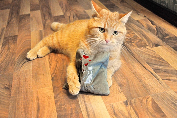 Aumüller Katzenspielkissen True love mittel hellgrau