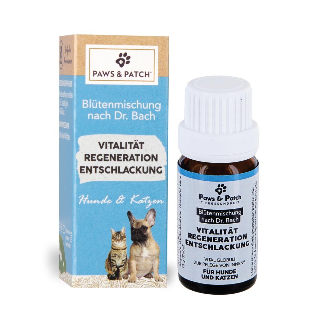 Paws&Patch 10g Blütenmischung Vitalität