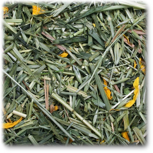 JR FARM Kornfeld 100g Raufutter für Kleintiere