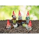 Vorschaubild Heissner Waldmänner, Serie mit 5 Gartenzwergen (06222-00)