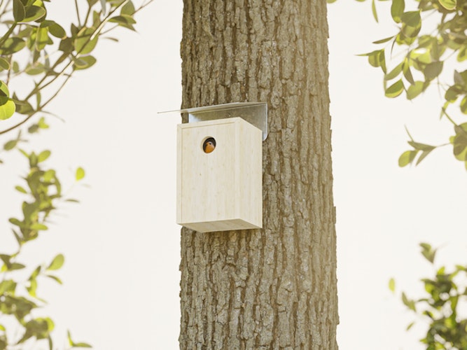 Alberts® Schrägschutzdach für Futterhäuser