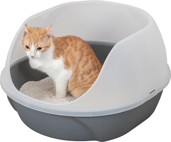 TRIXIE Katzentoilette Simao, hoher Rand, 48 × 30 × 58 cm, grau
