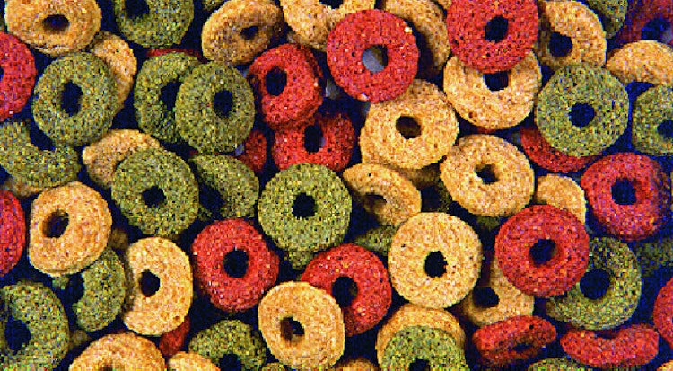 Nagerringe gemischt 15 Kilogramm