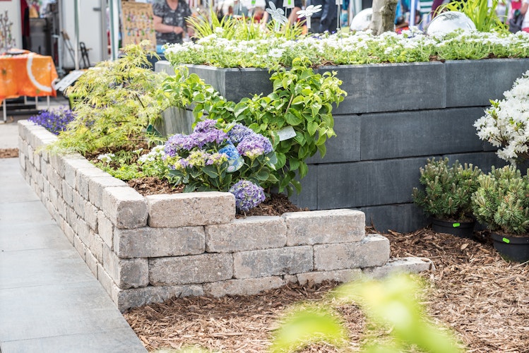 Diephaus Mauerstein ANTIK GEK. PICO MUSCHELKALK 30/10/10 CM