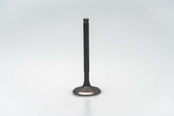 XPEAR Einlassventil YX150 YX160 ZS155