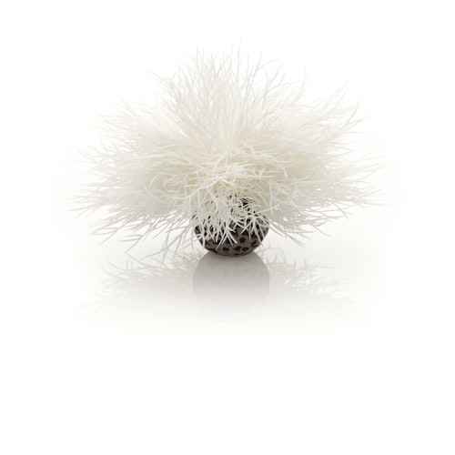 biOrb Seelilie weiß (46078)