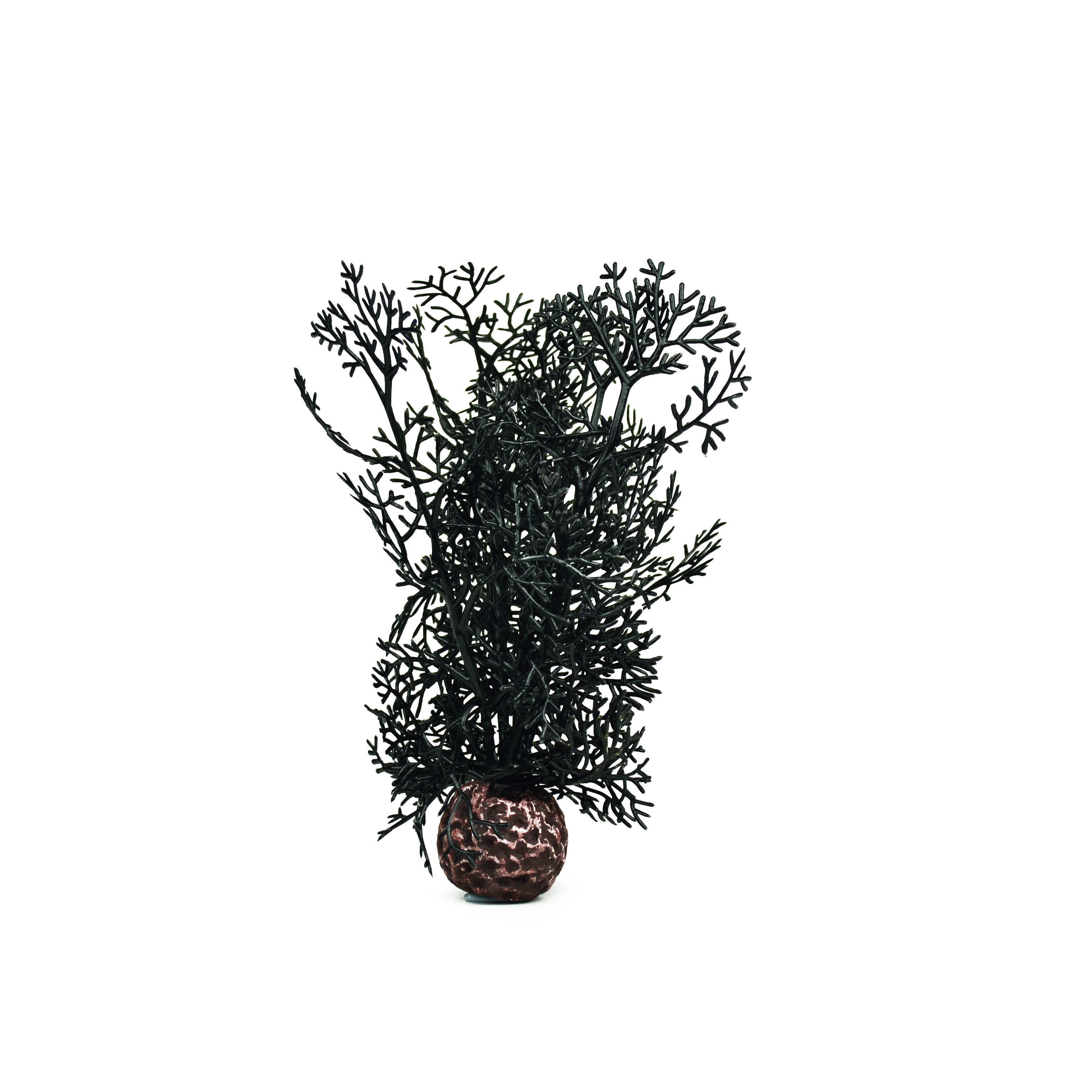 biOrb Hornkoralle klein schwarz (46093)