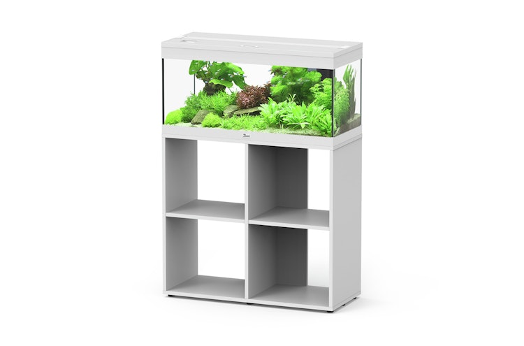 Aquatlantis Prestige 80 Stand Aquarium mit Unterschrank