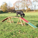 Vorschaubild TRIXIE Dog Activity Agility Steg 456x30x64cm