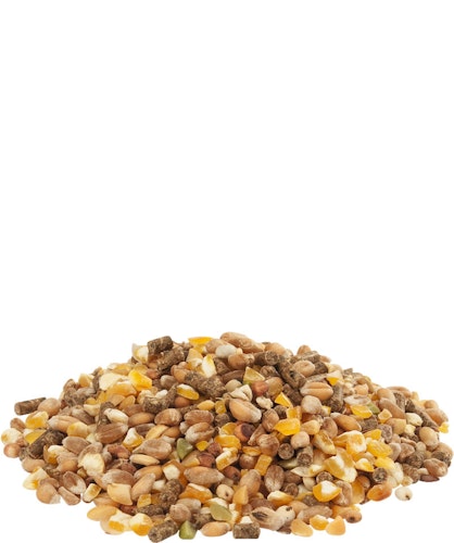 VERSELE-LAGA Gold 4 mix Getreidemischung 20kg