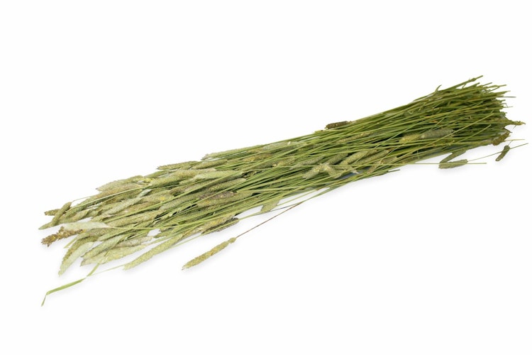 JR FARM Ein Stück Natur Timothy-Ernte 80g Kleintierfutter