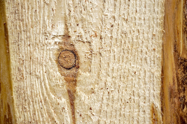 T&J JÜTLAND Sichtschutzzaun Lärche 180 x 150 cm