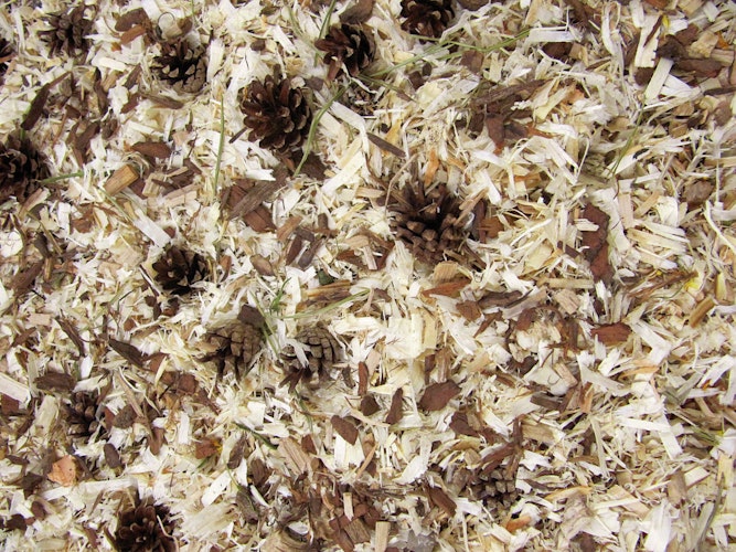 JR FARM Überstreu Waldfeeling 10 Liter Einstreu