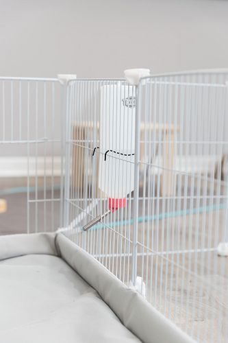 TRIXIE Indoor Freilaufgehege, Metall/Kunststoff, 140 × 35 × 70 cm, weiß