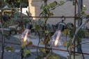 Vorschaubild Konstsmide Ganzjahresbeleuchtung  LED Biergartenkette Dimmer 20 Dioden