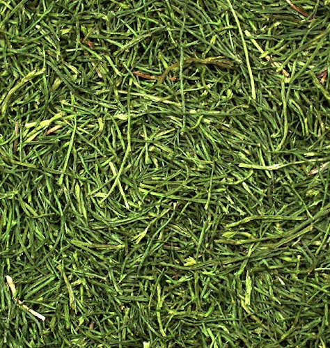 JR FARM Petersilienstiele 5kg Raufuttermittel für Kleintiere