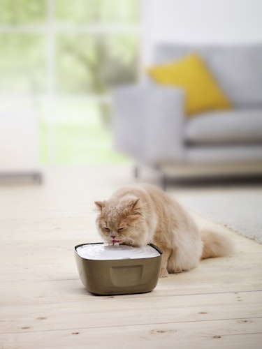 SAVIC Trinkbrunnen Volcano 2,5l grau