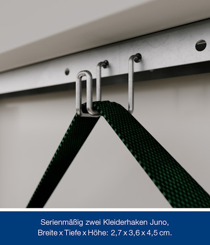 Hörmann Metall-Gerätehaus Juno JSD mit Satteldach