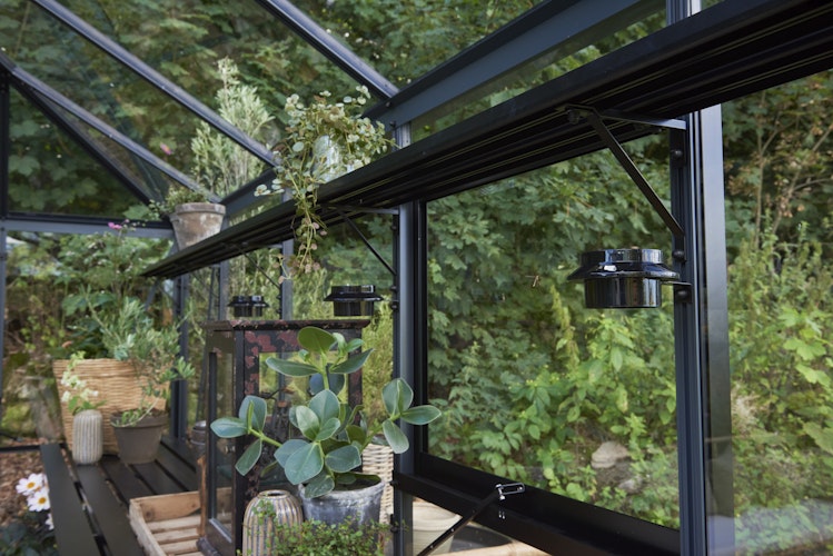 Juliana Gewächshaus Grand Oase anthrazit - 3 mm Sicherheitsglas - 25,6 m²