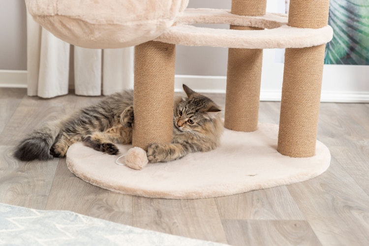 TRIXIE Kratzbaum Boho Filippo