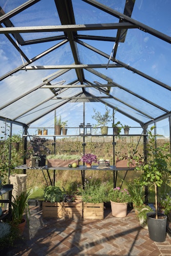 Juliana Gewächshaus Jubii 15,1 m² inkl. gratis Fundamentrahmen im Wert von 539 €