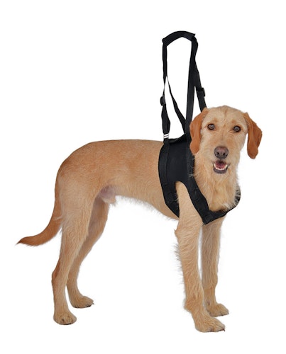 Vetlando Gehhilfe Hundepflegeartikel