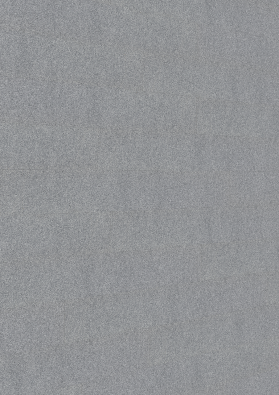 MEISTER Systempaneele MeisterPaneele. craft SP 700 1275 x 210 x 10,5 mm 04502 Filz basaltgrau
