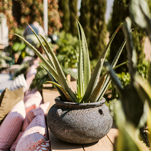 Plant Pot Ensio schwarz antik