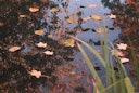 Vorschaubild Ubbink PondNet Laubschutznetz 3 x 4 m