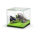 Vorschaubild Aquatlantis Kubus 54 L Glasbecken