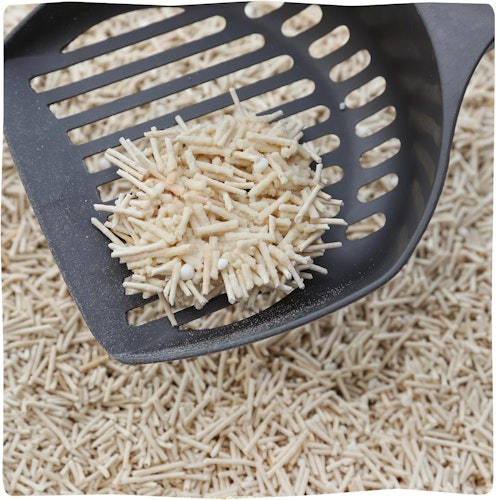 KittyBay PawperolSpritz TofuManiok