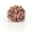 Vorschaubild biOrb Blumenball pink (46088)