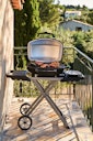 NAPOLEON Elektrogrill TRAVELQ™ PRO285EX, mit klapbaren Wagen