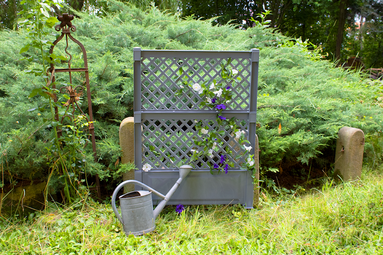 KHW Spalier (2-tlg.) 100 cm mit Erdspieß